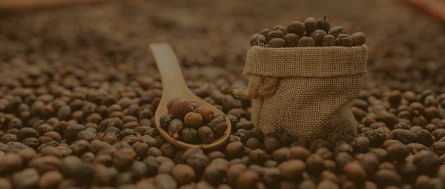 Uma empresa, seis marcas, um só compromisso: excelência