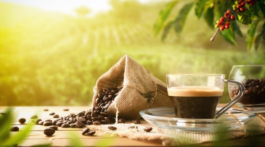 Como Escolher o Café Ideal: Dicas do Grupo Araxáminas para Apreciadores de um Bom Café
